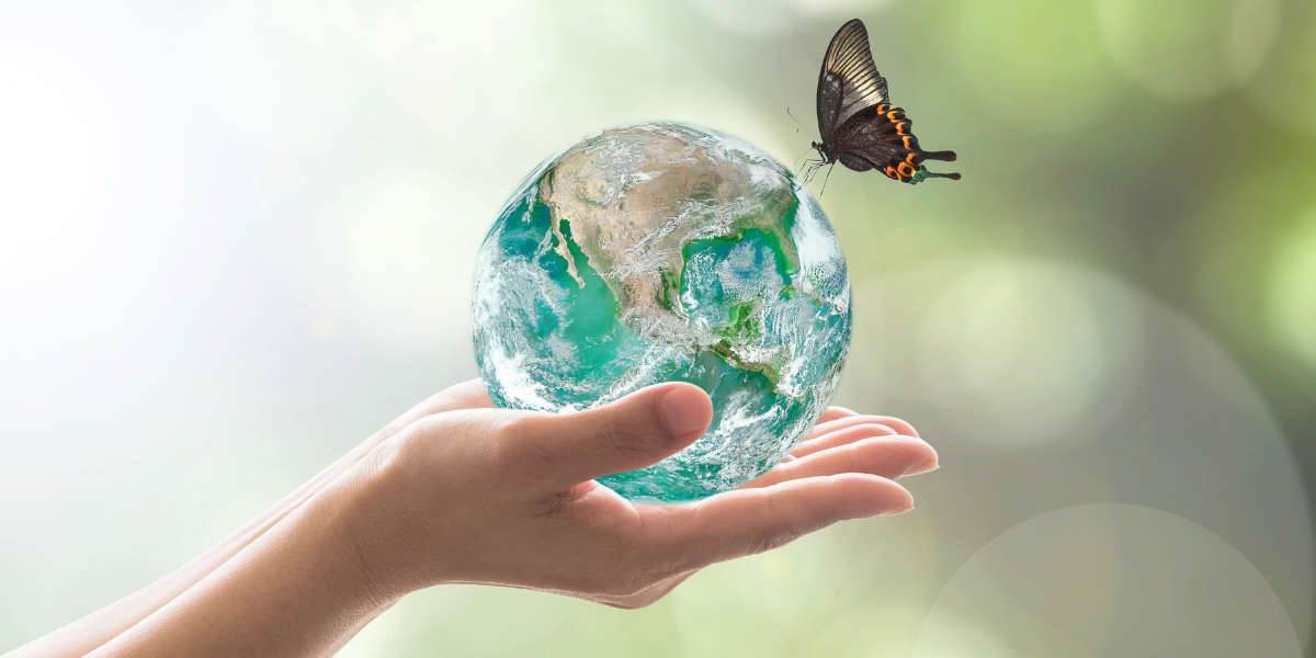 ISO 14001:2026 — обучение ведущих аудиторов системы экологического менеджмента