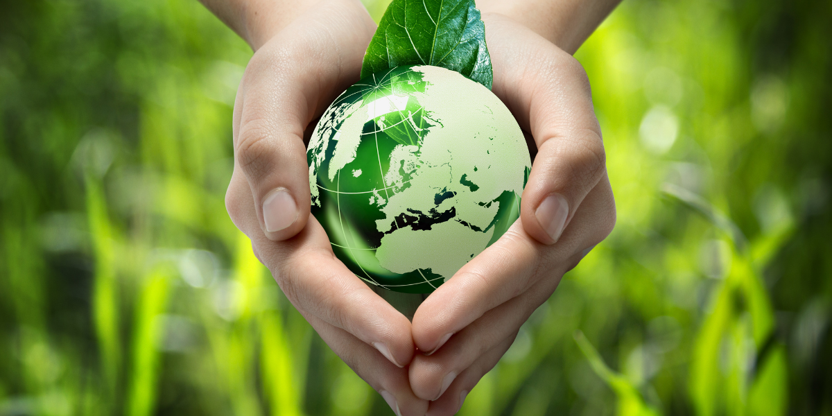 ISO 14001:2026 Система экологического менеджмента Обучение внутреннего аудитора